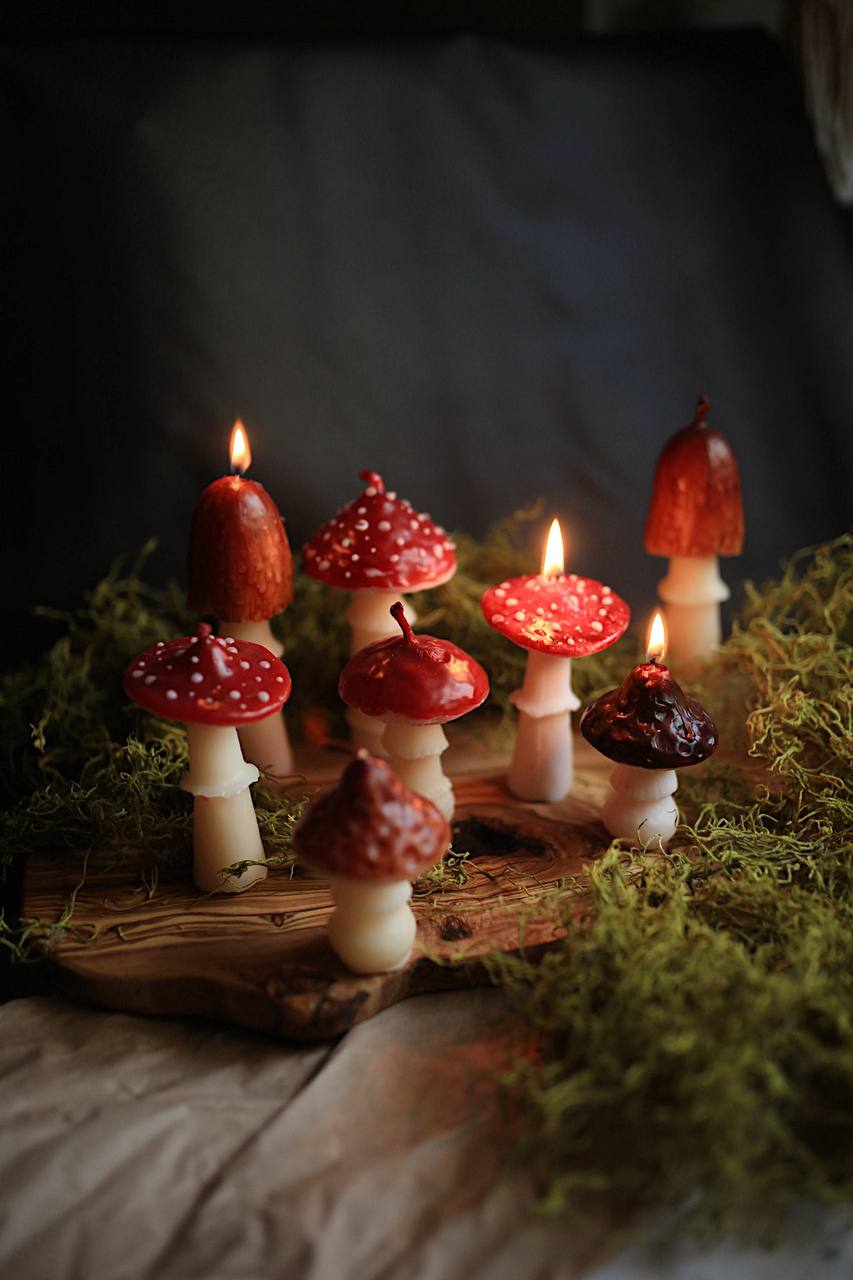 Autumn Collection