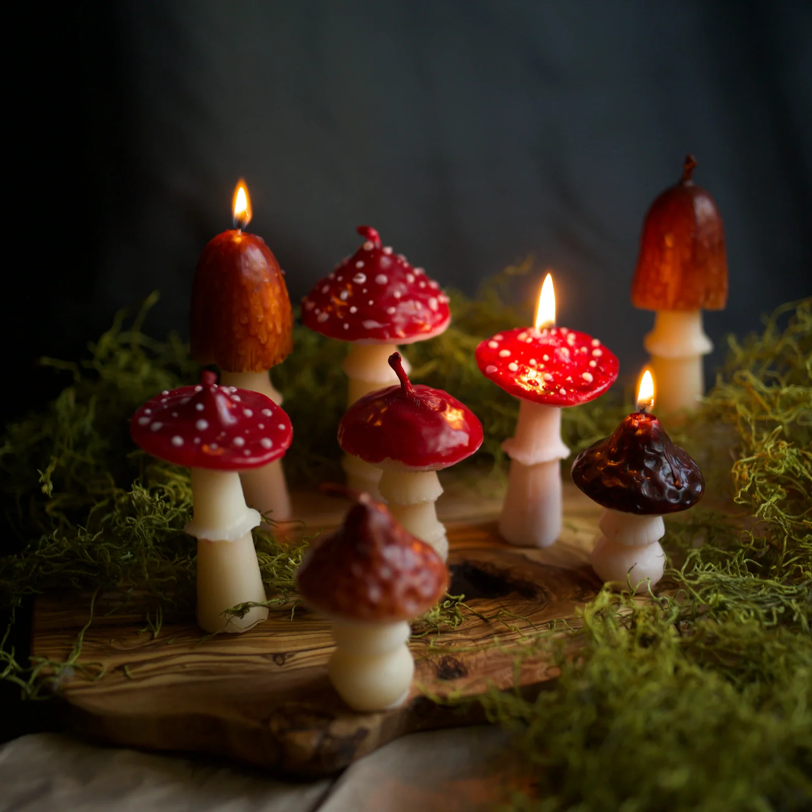 Autumn collection