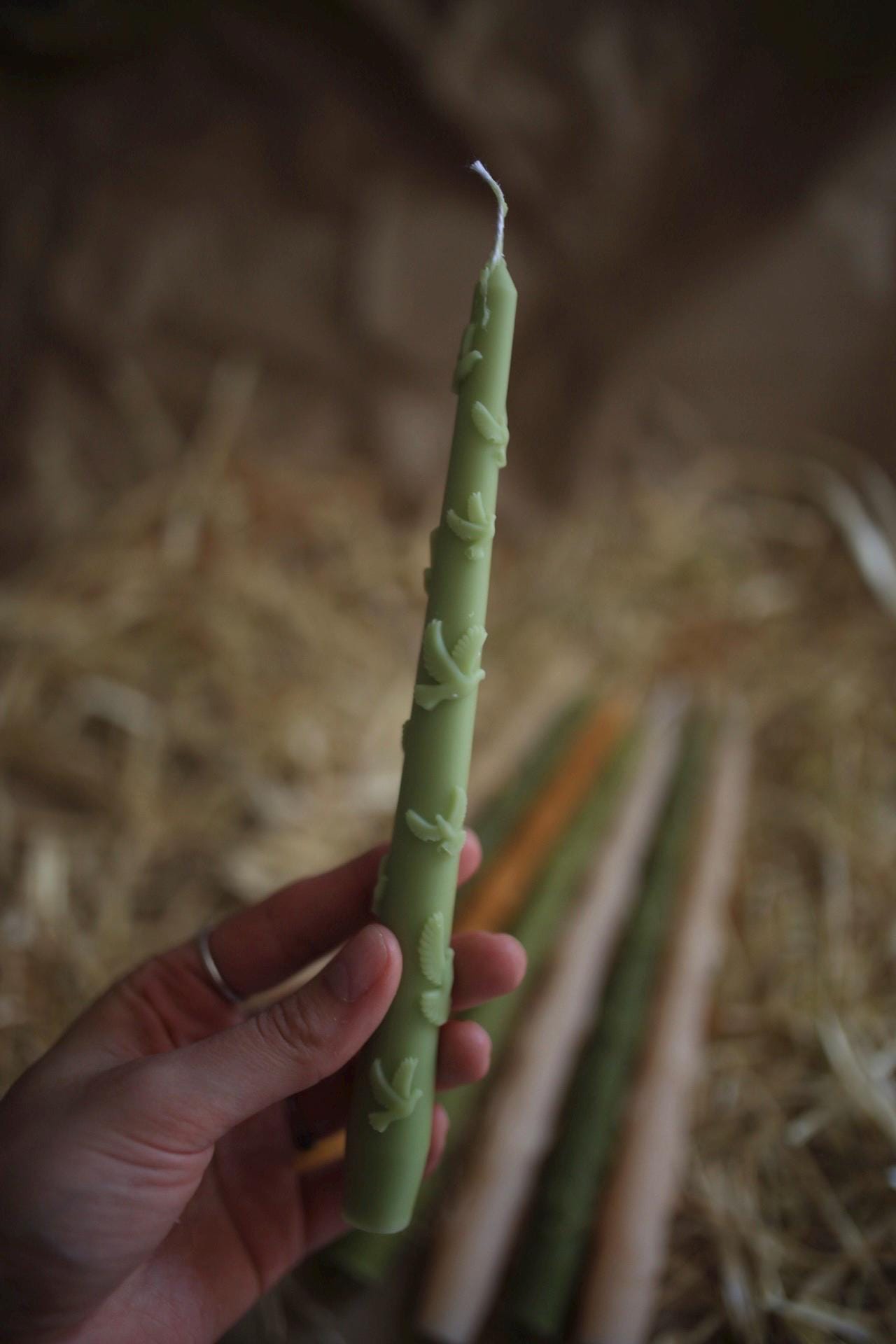 Bird Beeswax Taper Candle 6