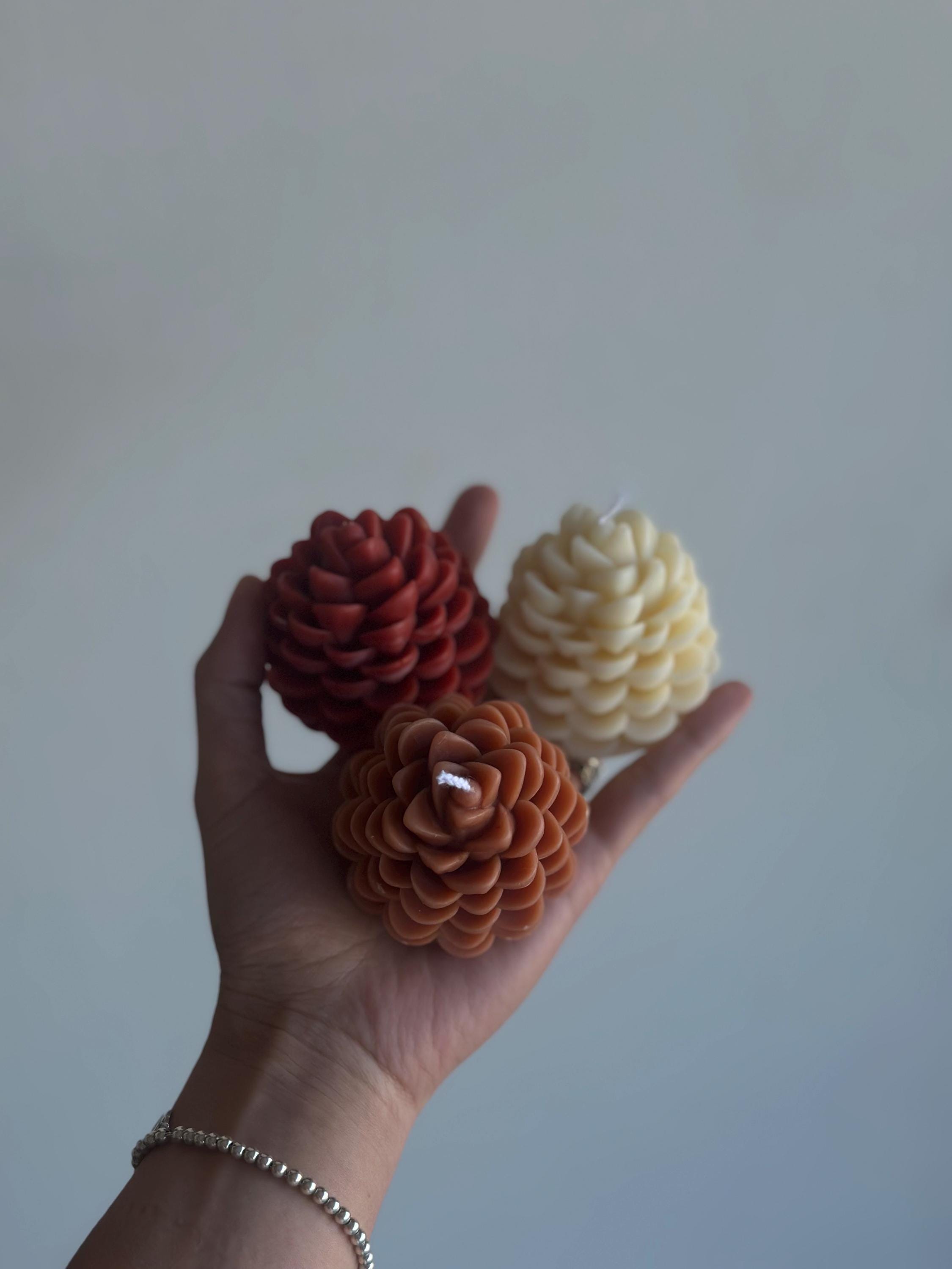 Pinecone Beeswax Candle 9
