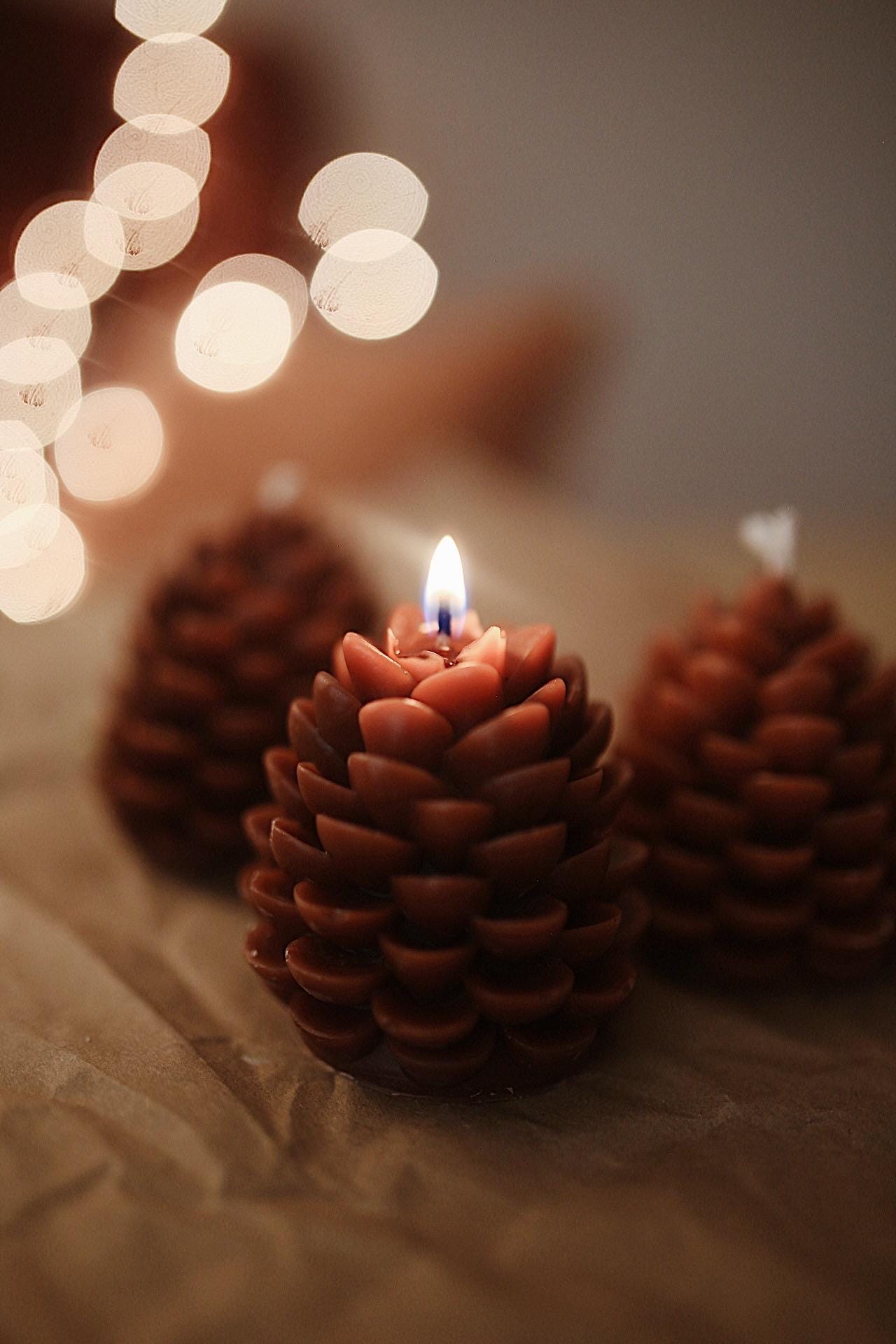 Pinecone Beeswax Candle 4