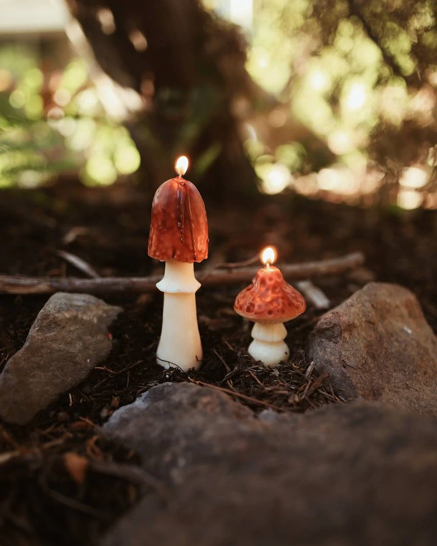 Handmade Beeswax Mushroom Candle 4