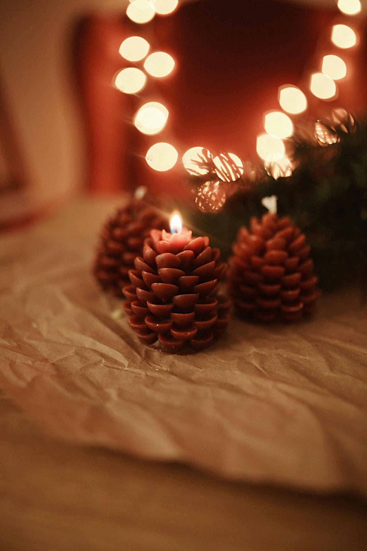 Pinecone Beeswax Candle 5